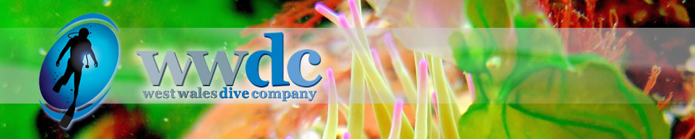 West Wales Dive Company